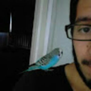 Meet your Posher, Johan